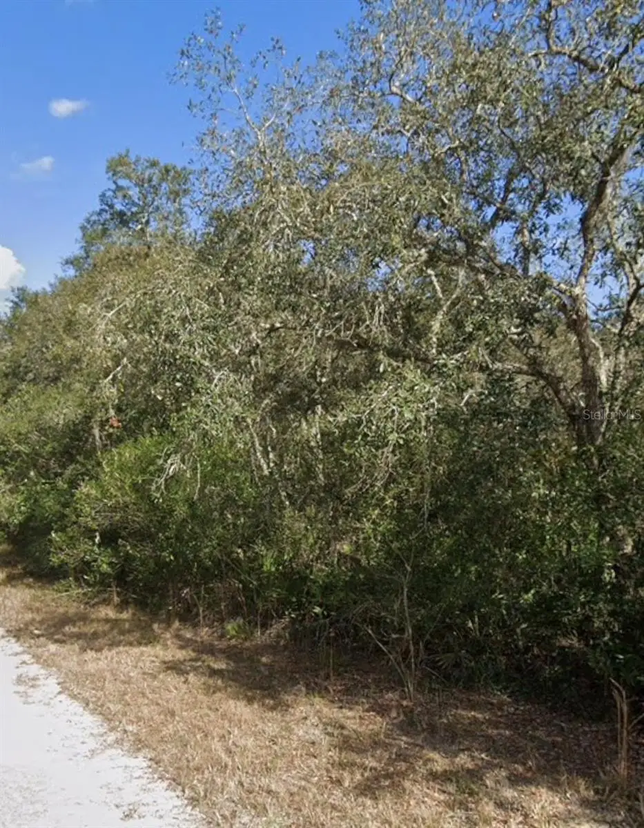 00 Little Stone Drive, Webster, FL 33597 - Image #1