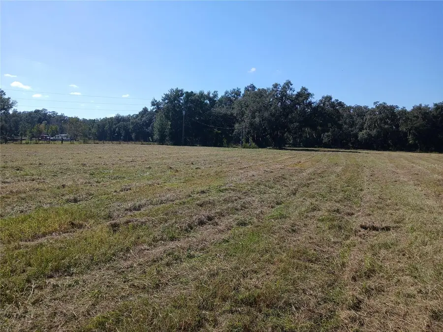 11682 Cr 727, Webster, FL 33597 - Image #3