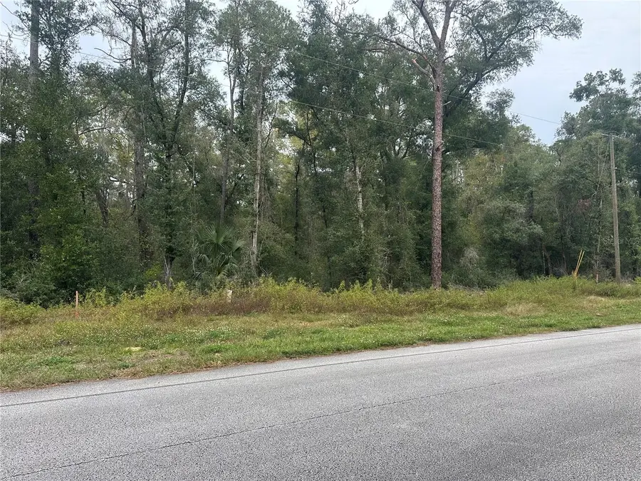 8723 N Alameda Drive, Dunnellon, FL 34434 - Image #2