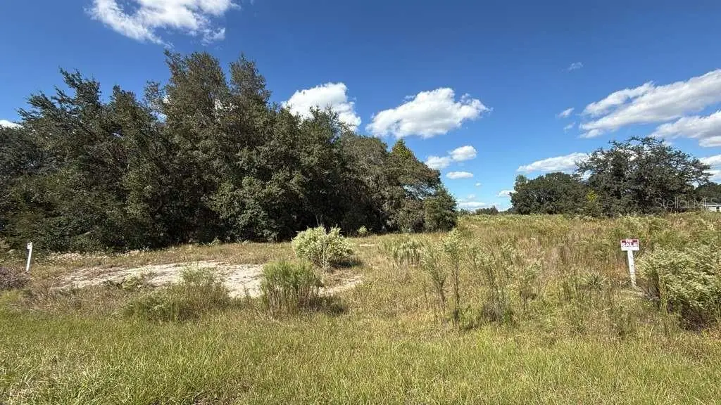 LOT 15 & 16 Sw 105th Pl, Dunnellon, FL 34432 - Image #1