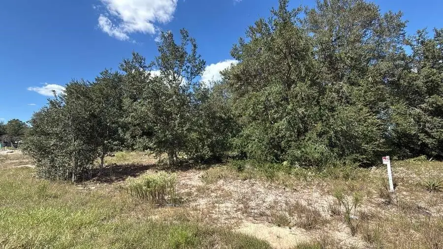 LOT 15 & 16 Sw 105th Pl, Dunnellon, FL 34432 - Image #3