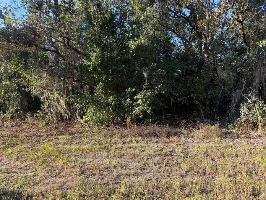 3238 N Sheriff Drive, Beverly Hills, FL 34465 - Image #3