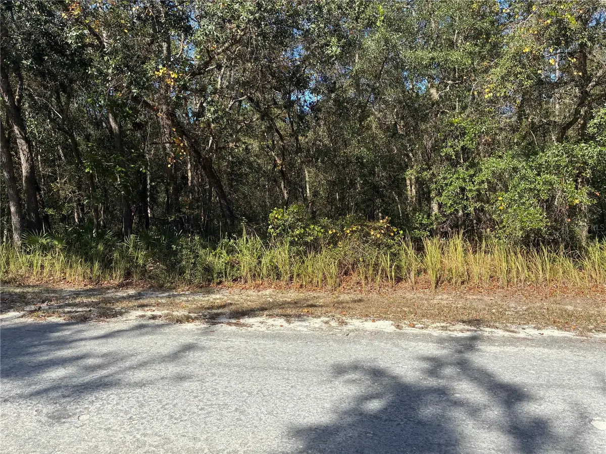 Arrowrock Street, Webster, FL 33597 - Image #1