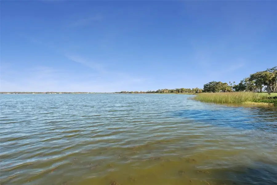 16951 Deer Island Road, Tavares, FL 32778 - Image #3