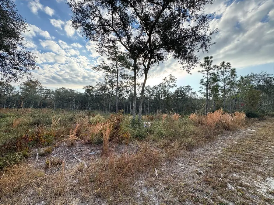 8186 Gidding Lane, Webster, FL 33597 - Image #2