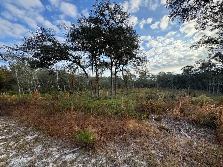 8186 Gidding Lane, Webster, FL 33597 - Image #3