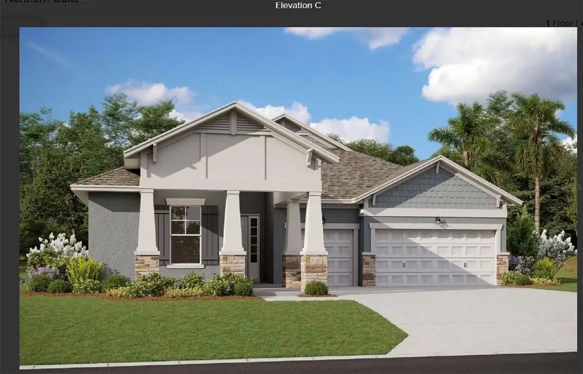 6517 Shore Juniper Street, Winter Garden, FL 34787 - Image #1