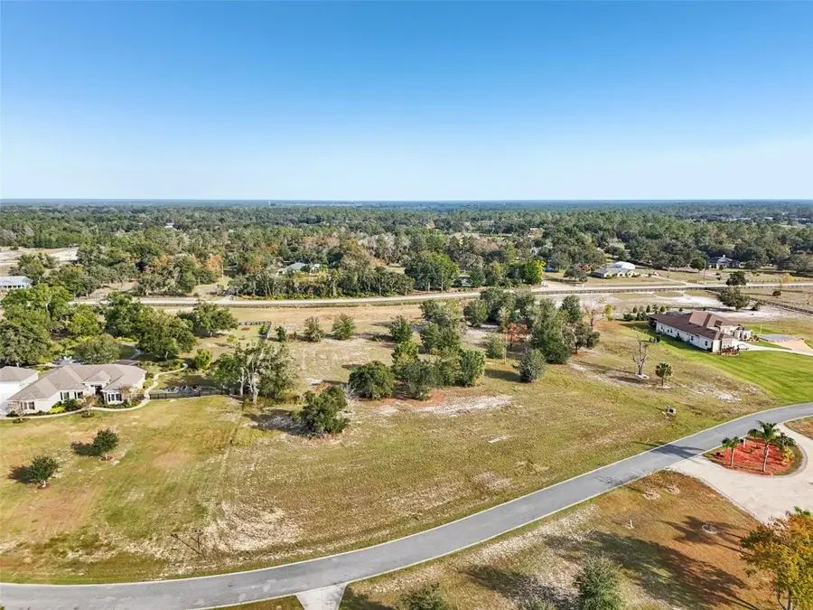 Seneca Reserve Drive, Eustis, FL 32736 - Image #3
