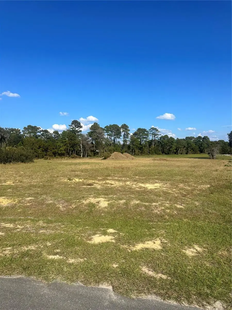 38553 Wooded Meadow Drive, Umatilla, FL 32784 - Image #2