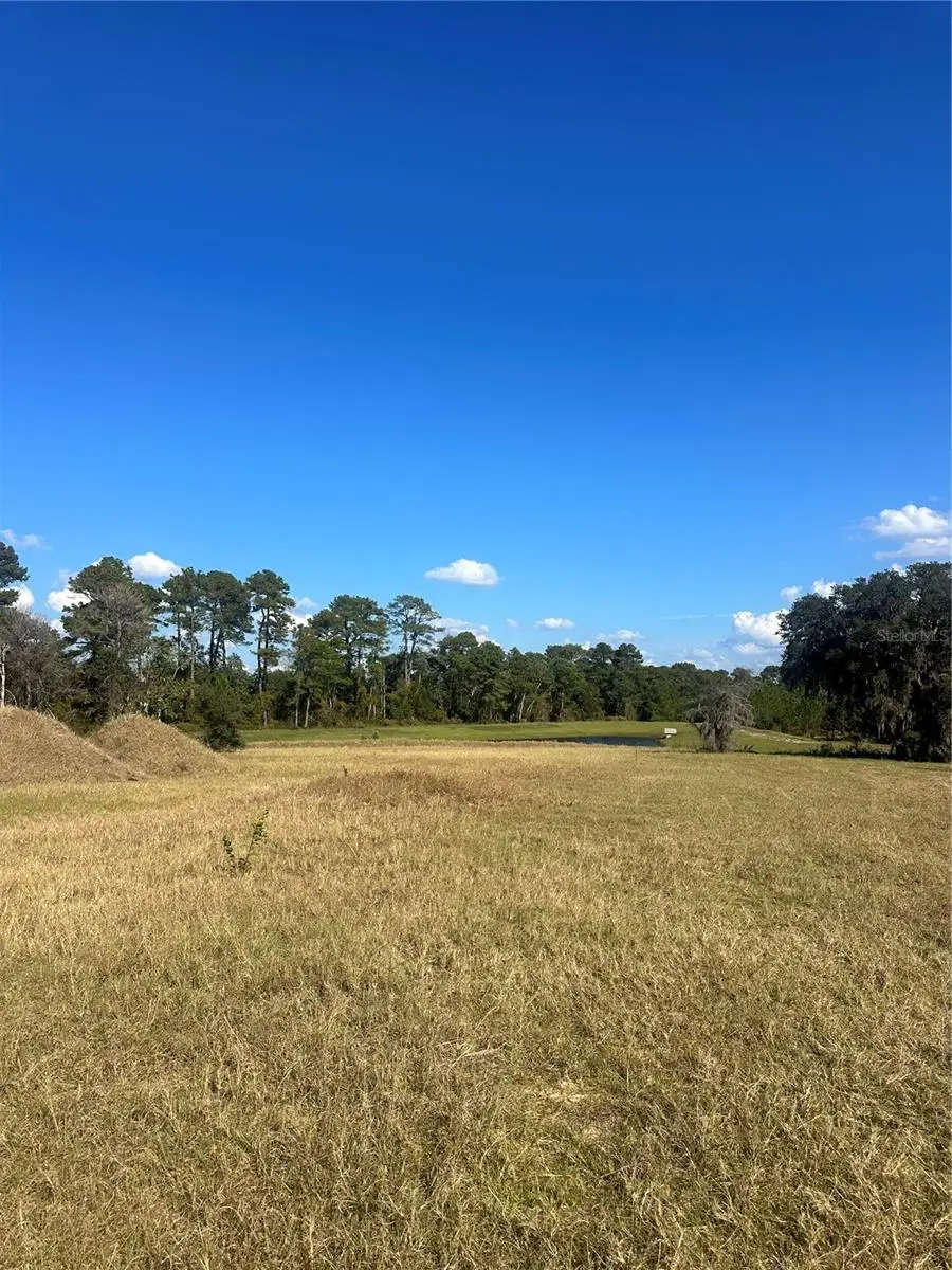 38553 Wooded Meadow Drive, Umatilla, FL 32784 - Image #3