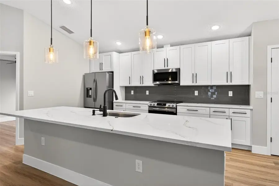 225 Hillside Avenue, Umatilla, FL 32784 - Image #2