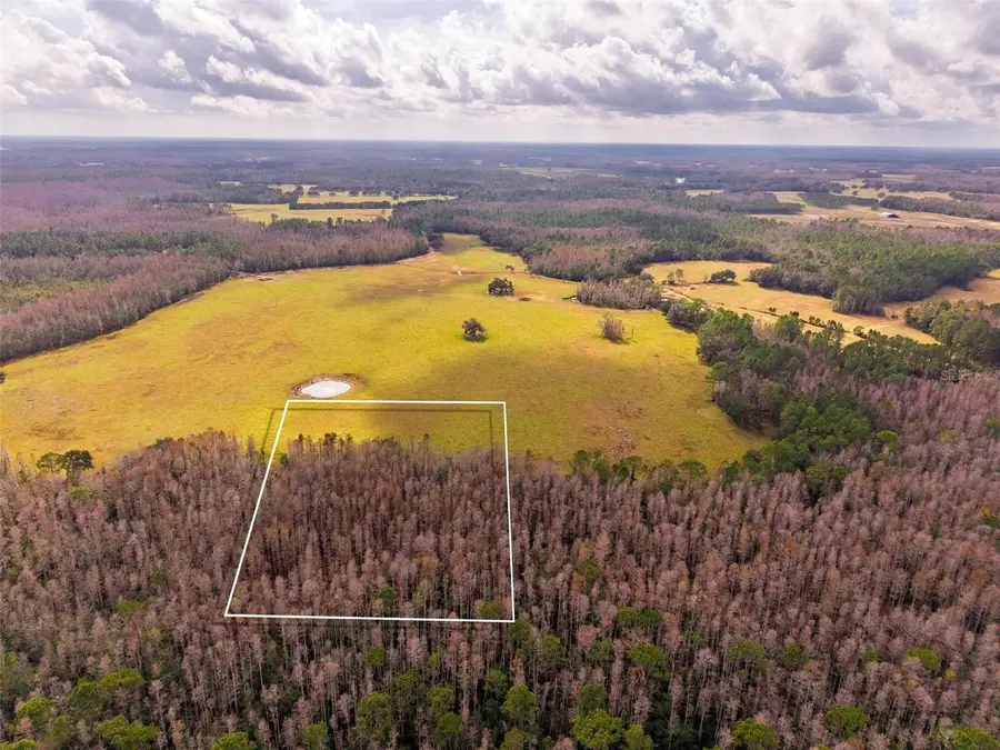 Line Block Road, Clermont, FL 34714 - Image #2