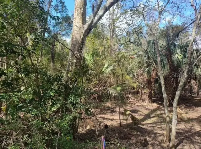 5979 E Wingate, Inverness, FL 34452 - Image #3