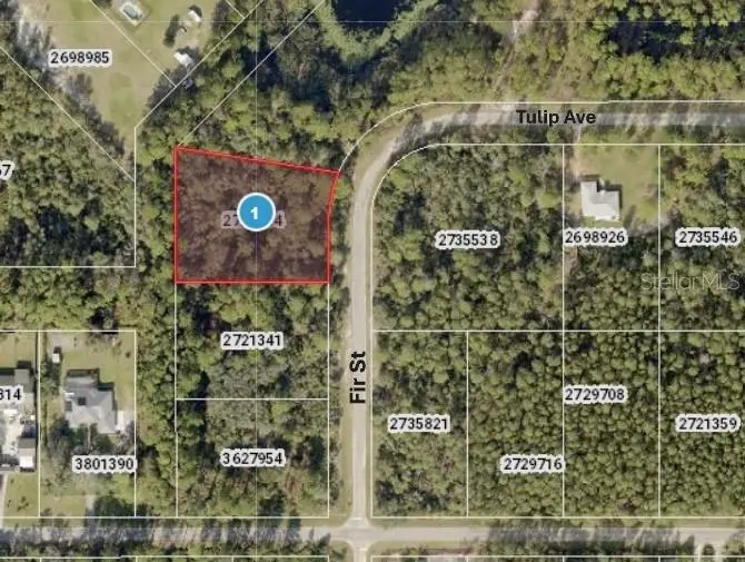 Fir Street, Eustis, FL 32736 - Image #1