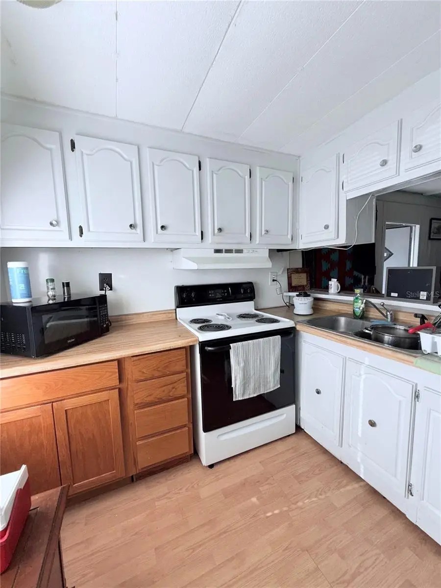 1370 County Drive, Tavares, FL 32778 - Image #2