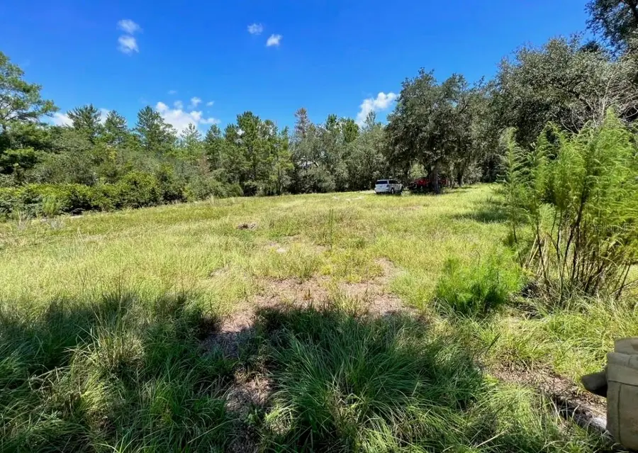 Steward Road, Eustis, FL 32726 - Image #2
