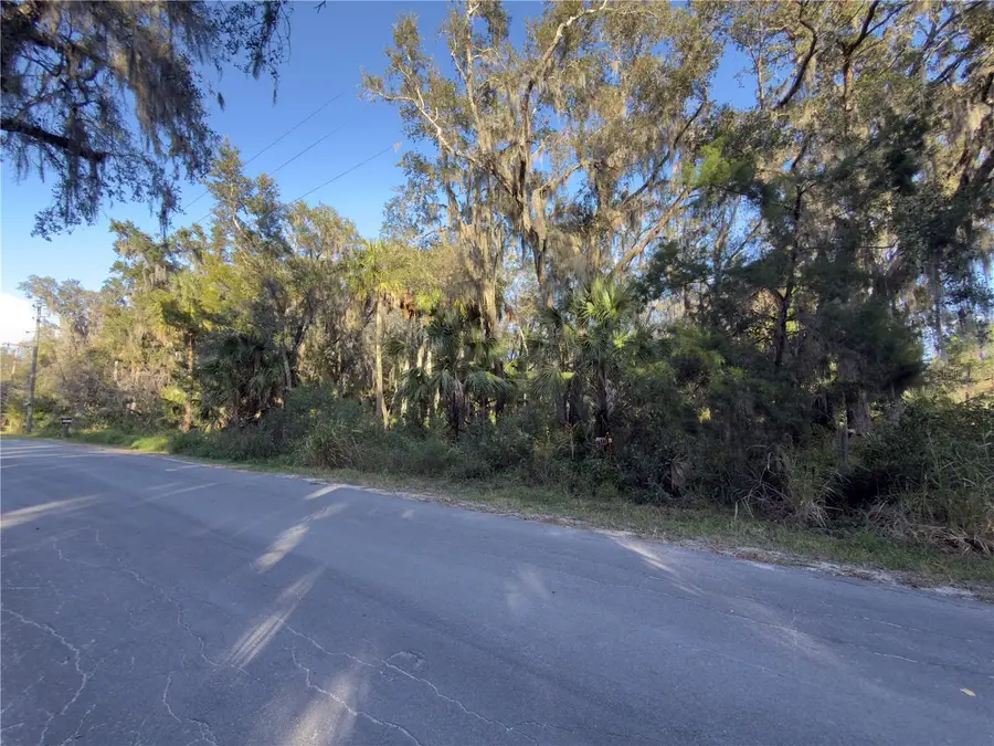 Treasure Island Avenue, Leesburg, FL 34788 - Image #3