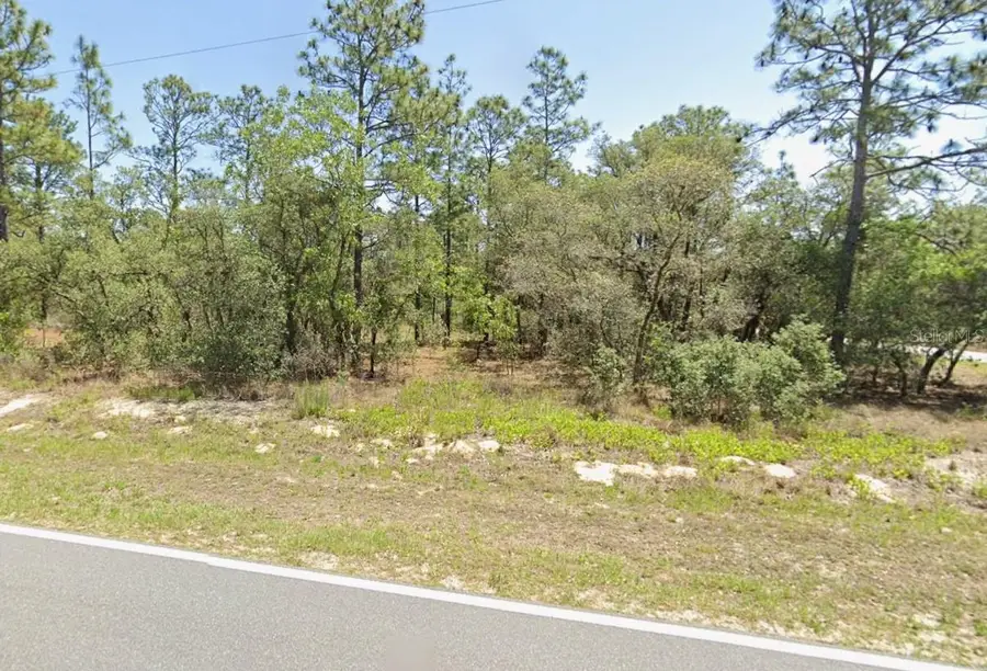 0 NW Rigewood Road, Dunnellon, FL 34431 - Image #2