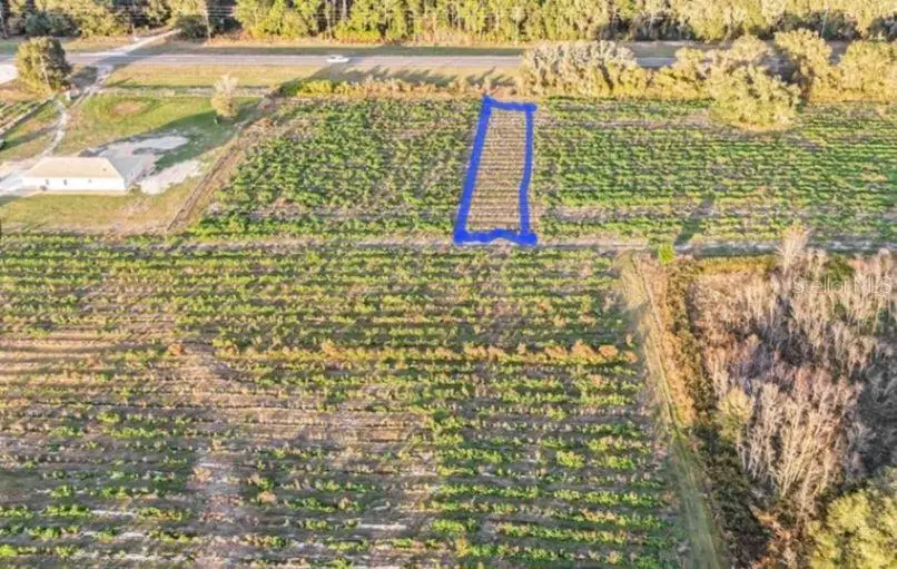 00 Hwy 98, Dade City, FL 33523 - Image #2