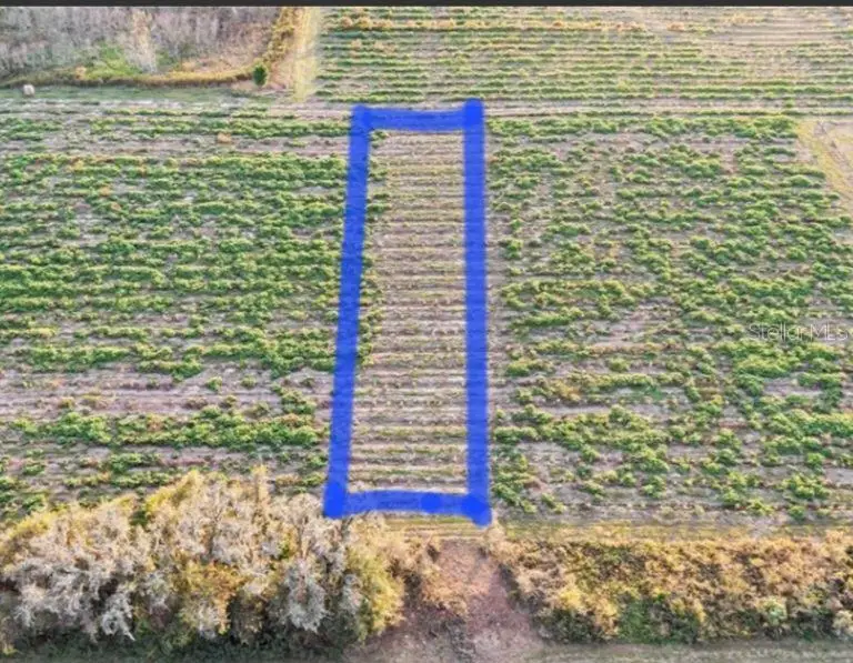 00 Hwy 98, Dade City, FL 33523 - Image #3