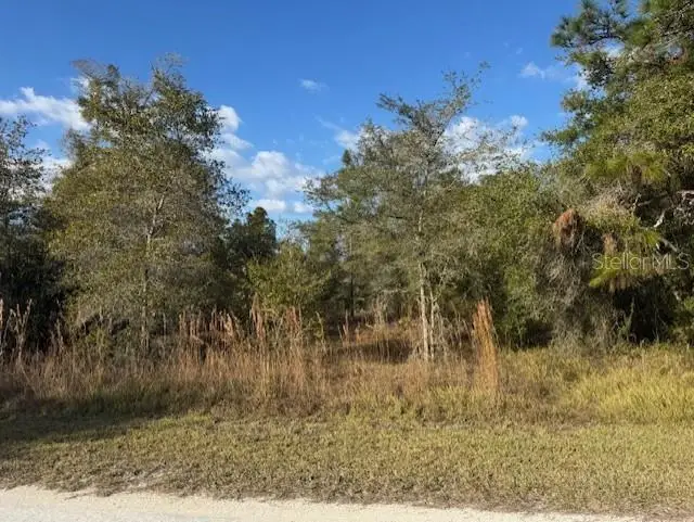 35367 Kramer Street, Webster, FL 33597 - Image #1