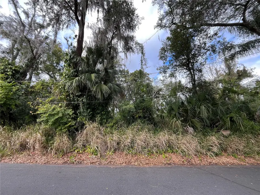 0 E Fruitland Street, Fruitland Park, FL 34731 - Image #3