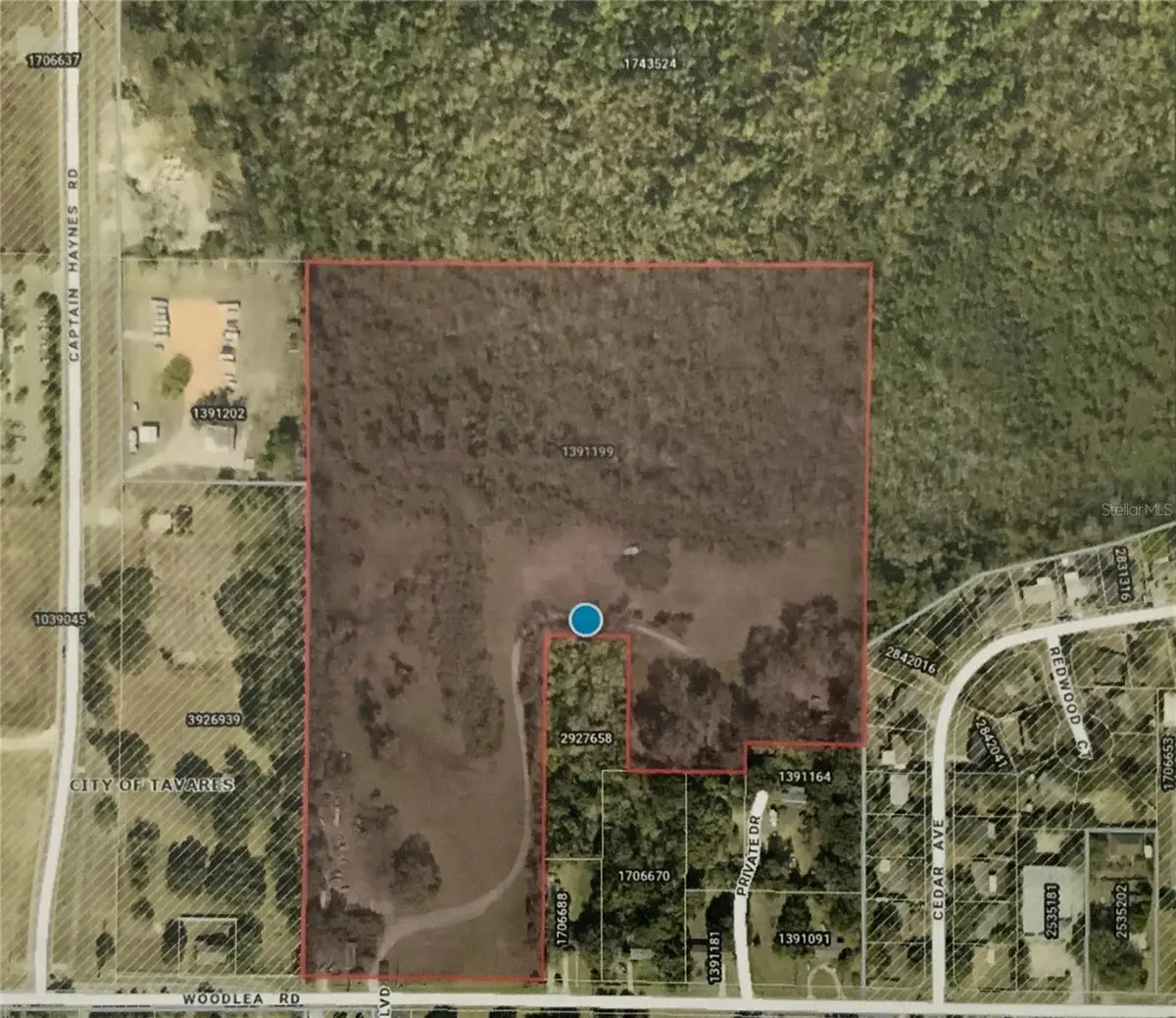 12301 Woodlea Road, Tavares, FL 32778 - Image #1