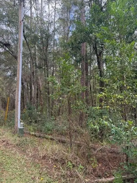 1074 W Legion Court, Hernando, FL 34442 - Image #3