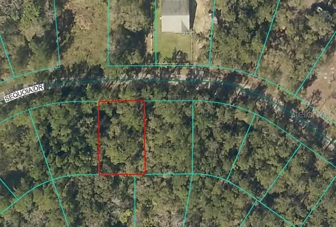 Sequoia Drive, Ocklawaha, FL 32179 - Image #1