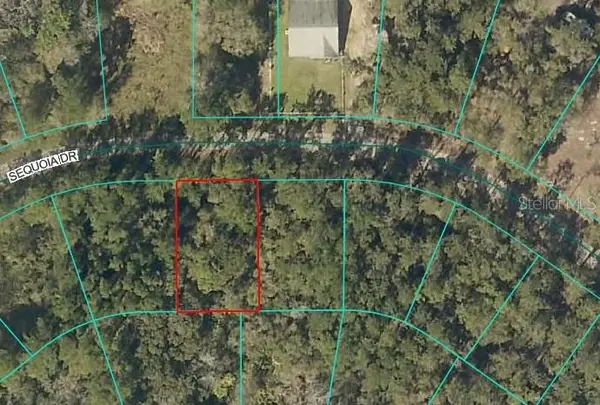 Sequoia Drive, OCKLAWAHA, FL 32179