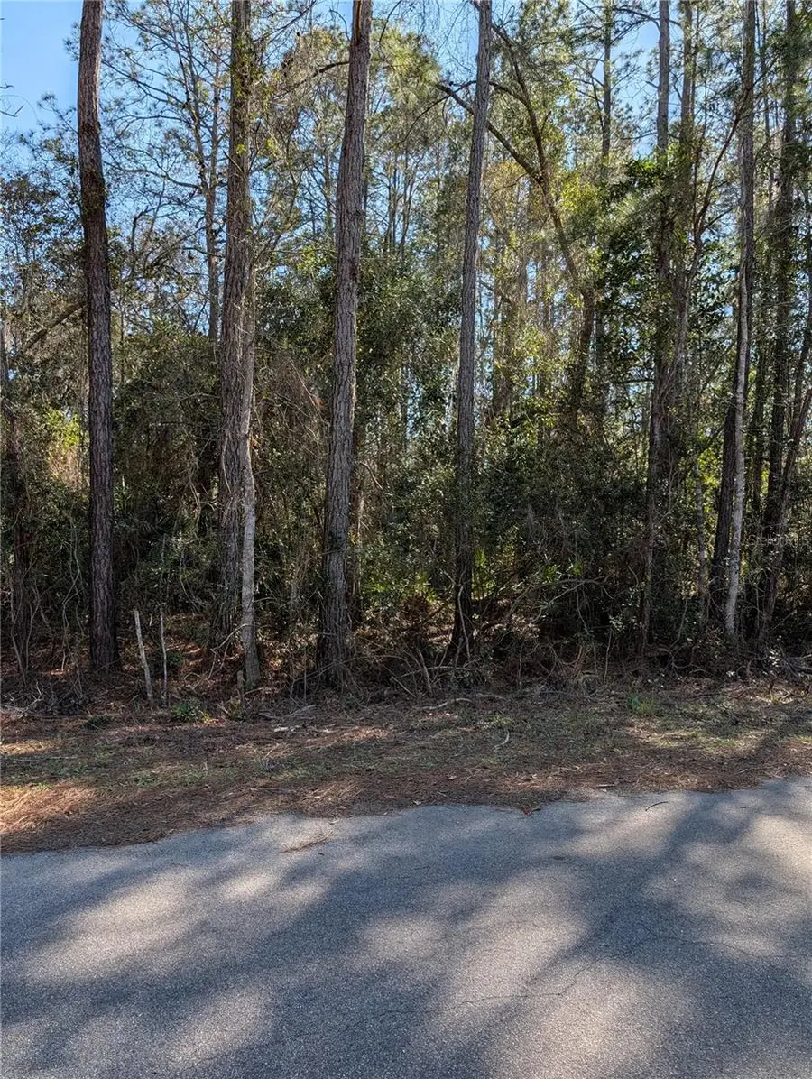 Sequoia Drive, Ocklawaha, FL 32179 - #3