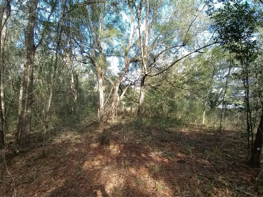 7092 Elaine Drive, Webster, FL 33597 - Image #2