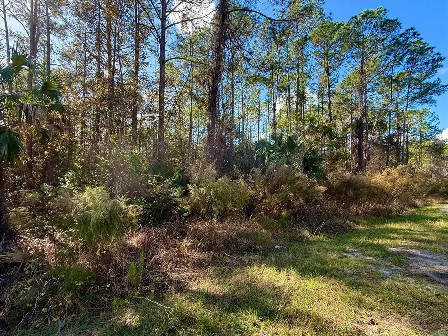 LOT 15 Apricot Avenue, Eustis, FL 32736 - Image #3
