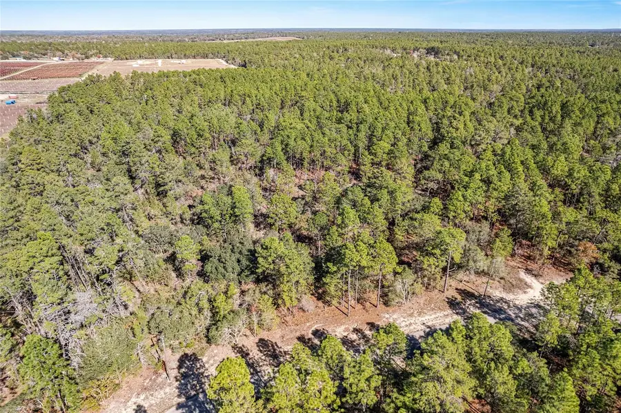 8949 N Farrington Drive, Citrus Springs, FL 34433 - Image #3