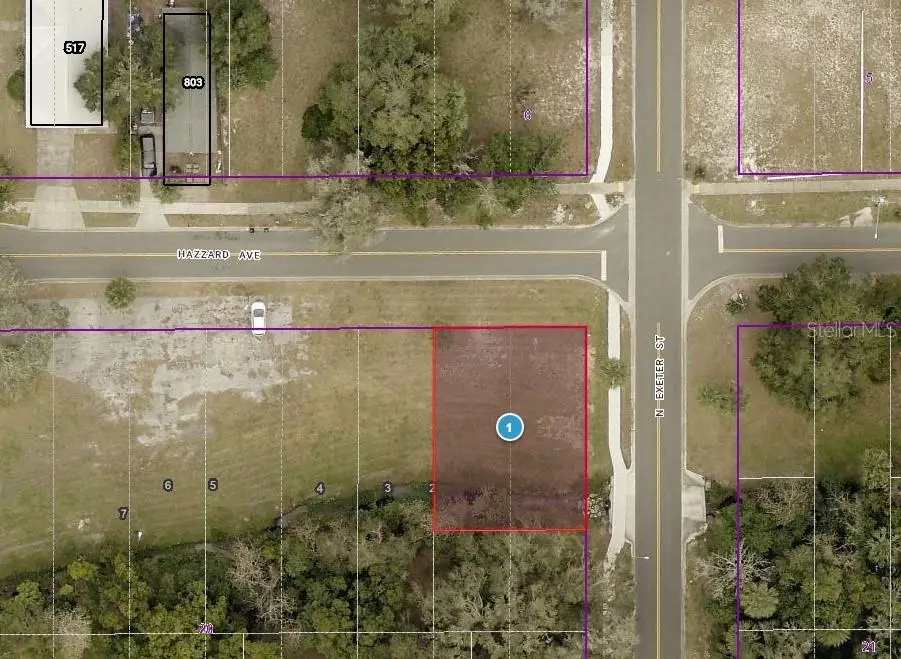 TBD N Exeter Street, Eustis, FL 32726 - Image #1
