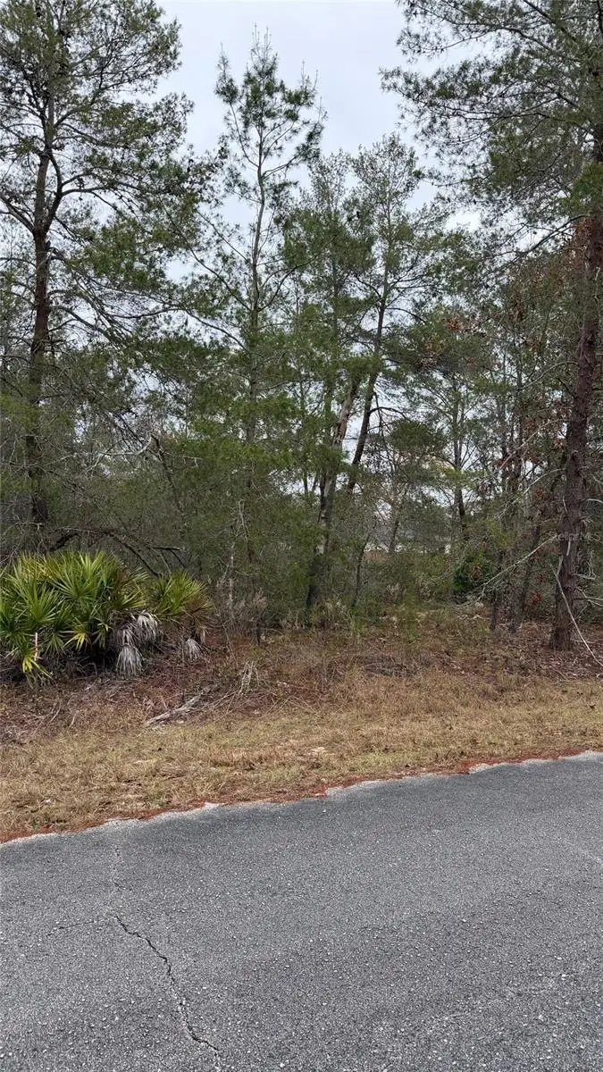 Malauka Drive, Ocklawaha, FL 32179 - Image #2
