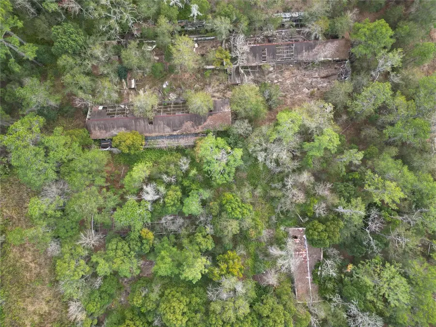 36242 County Road 439, Eustis, FL 32736 - Image #2