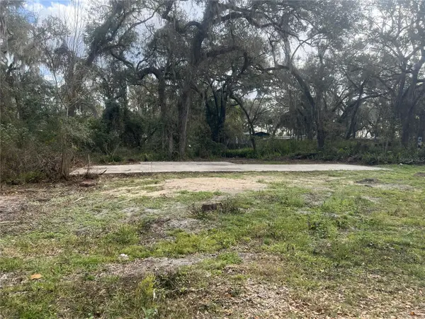 11459 Cr 678, WEBSTER, FL 33597