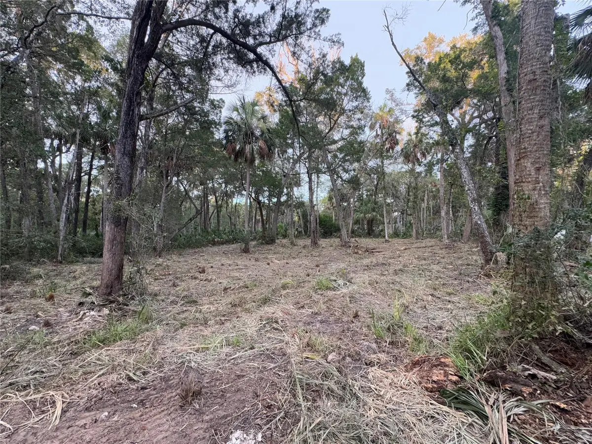 11905 W Eldred Lane, Homosassa, FL 34448 - #1