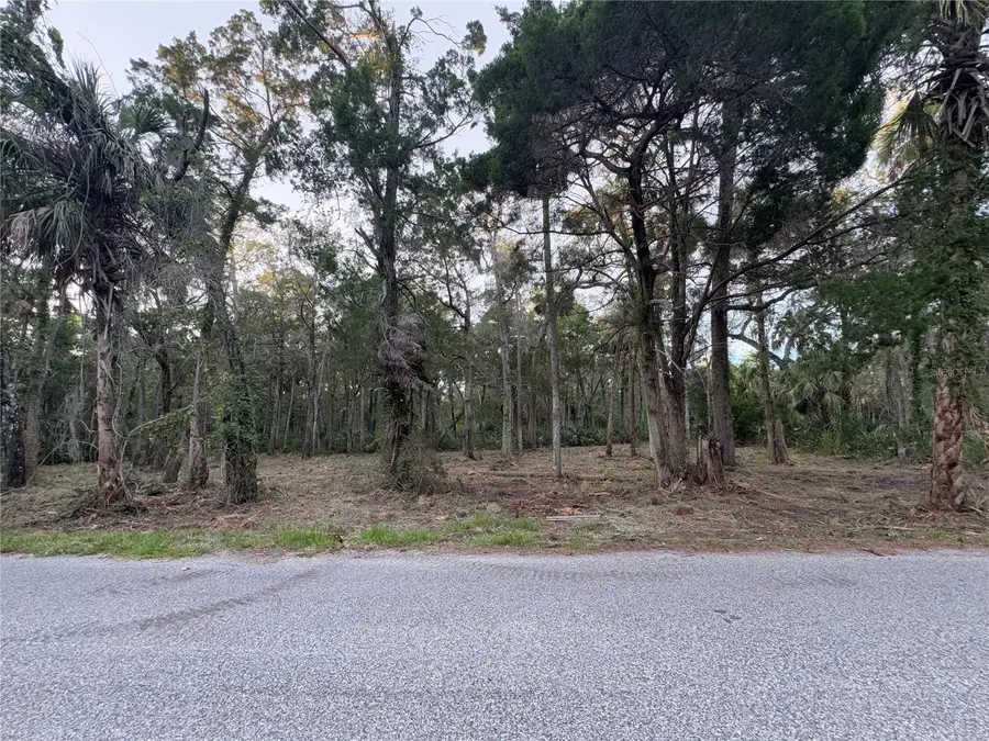 11905 W Eldred Lane, Homosassa, FL 34448 - #2