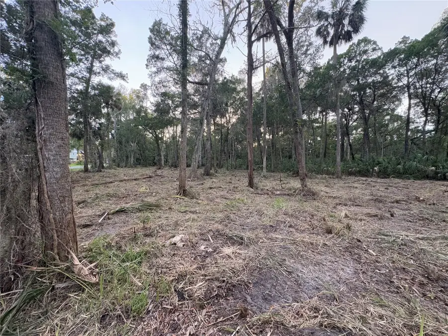 11905 W Eldred Lane, Homosassa, FL 34448 - #3