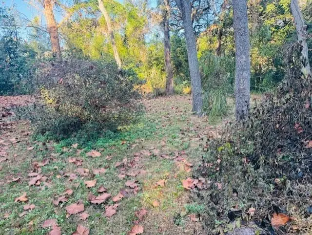 4547 Cr 692, Webster, FL 33597 - Image #3