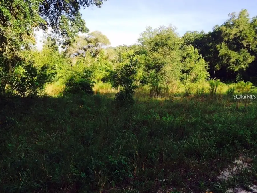 111 Frederick Street, Interlachen, FL 32148 - Image #2