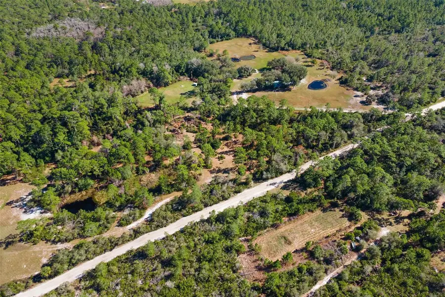310 Fawn Trail, Osteen, FL 32764 - Image #2