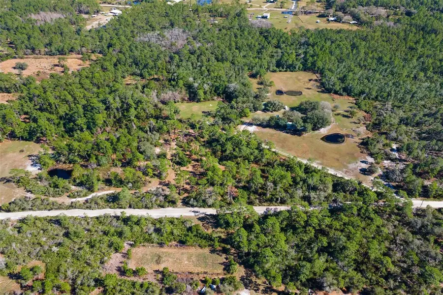 310 Fawn Trail, Osteen, FL 32764 - Image #3