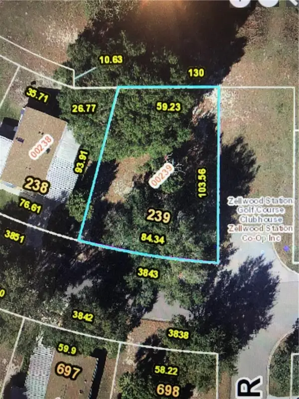 3843 N Citrus Circle #239, ZELLWOOD, FL 32798