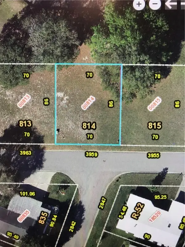 3959 Greenbluff Road #814, ZELLWOOD, FL 32798