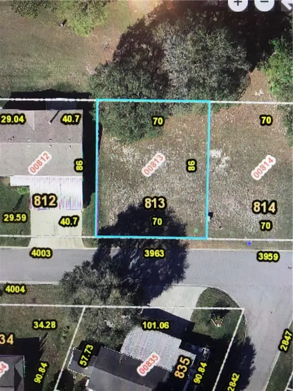 3963 Greenbluff Road #813, ZELLWOOD, FL 32798