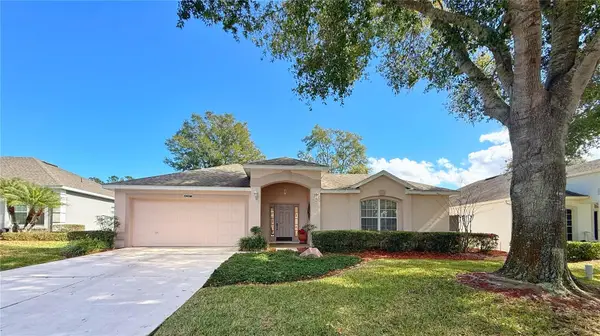 4207 Kingsley Street, CLERMONT, FL 34711