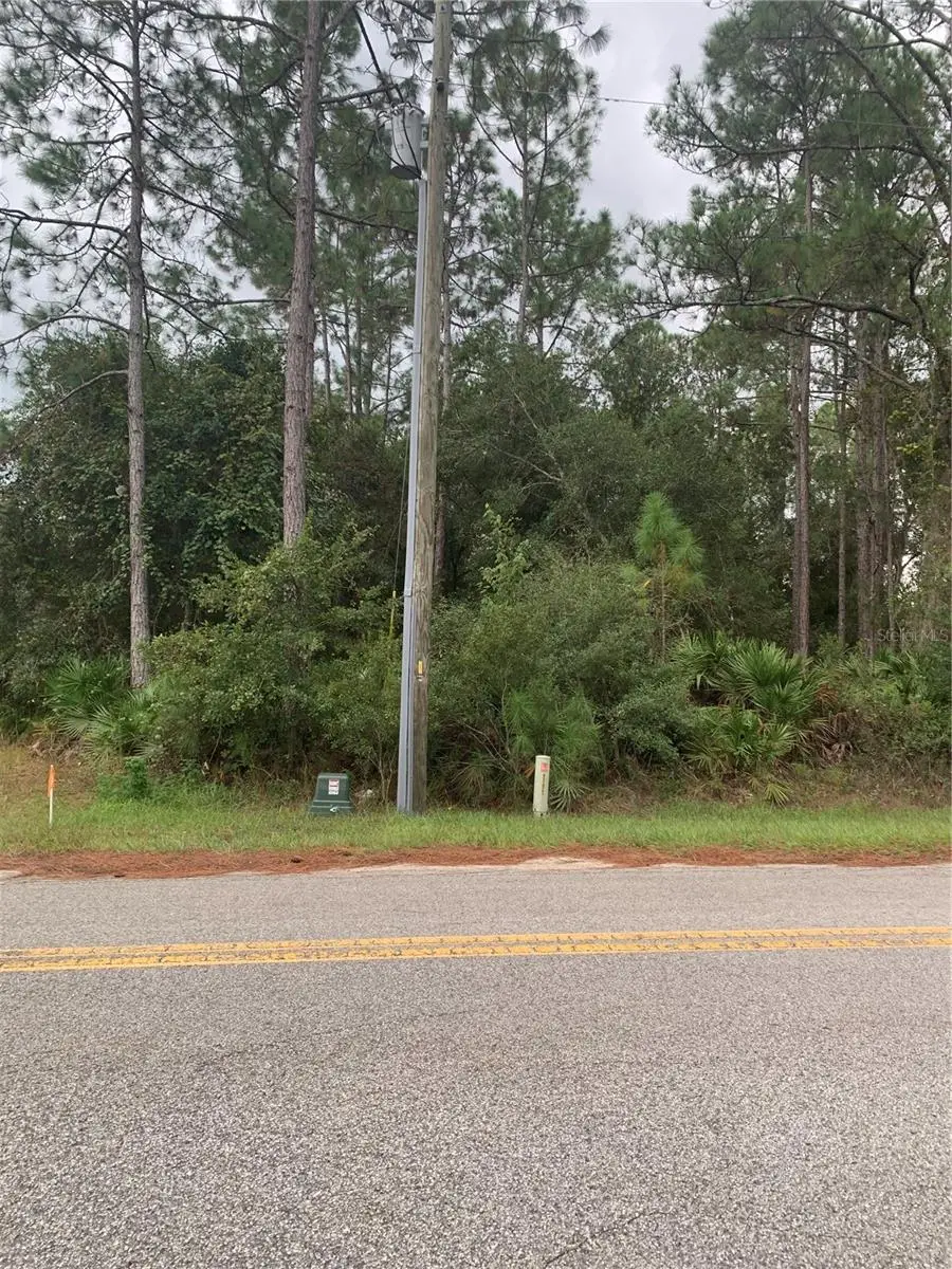 Oil Well Road, Clermont, FL 34714 - Image #1